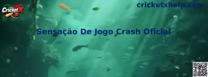 Sensação De Jogo Crash Oficial