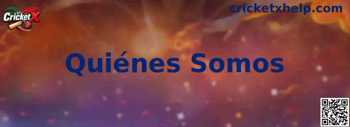 Información sobre quiénes somos de Cricket X